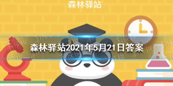 森林驿站2021年5月21日答案 北京雨燕迁徙过程中，是在什么地方睡觉的呢