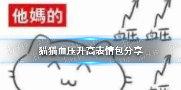 猫猫血压升高表情包分享 猫猫血压表情包有哪些