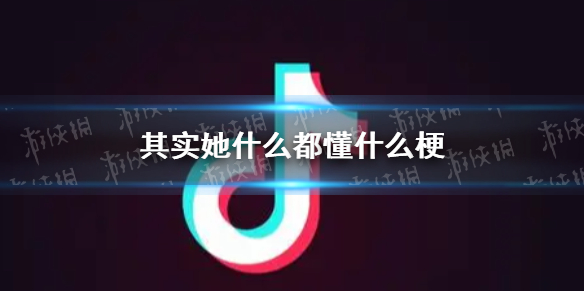 其实她什么都懂什么梗 她其实什么都梗介绍