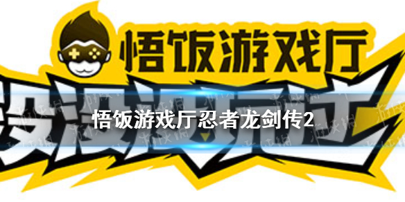 悟饭游戏厅忍者龙剑传2金手指代码大全 忍者龙剑传2金手指怎么用