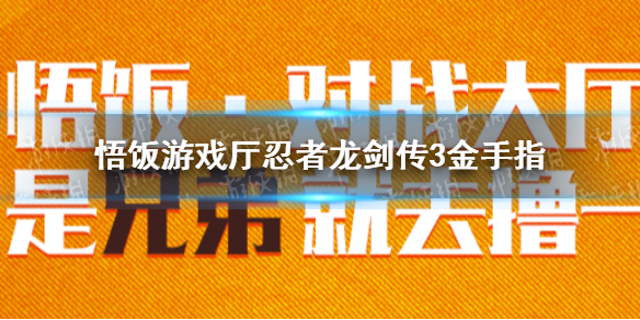 悟饭游戏厅忍者龙剑传3金手指代码大全 忍者龙剑传3金手指怎么用