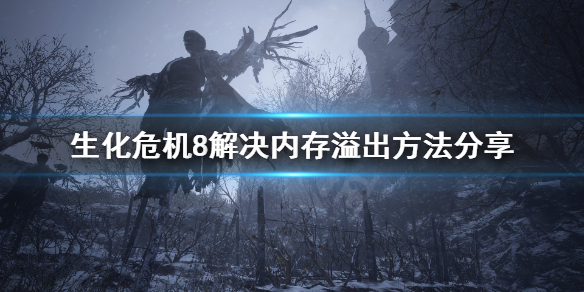 生化危机8该内存不能为written怎么办？解决内存溢出方法分享