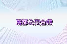 魔都公交合集