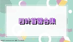 四叶苜蓿合集