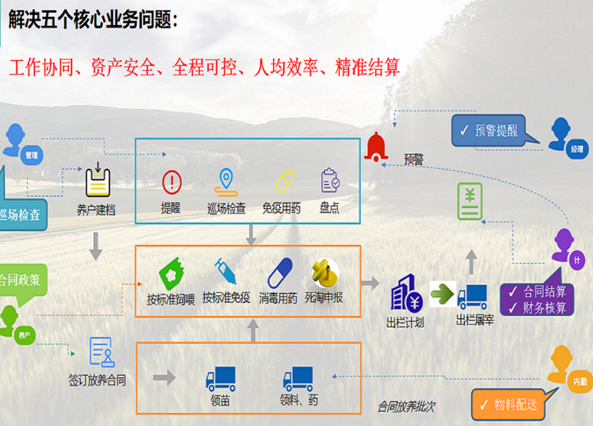 不愁养猪合集