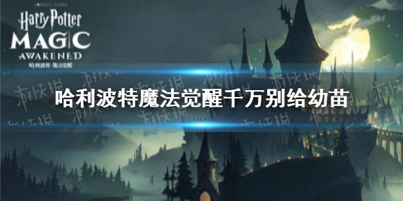 哈利波特魔法觉醒千万别给幼苗 9.22拼图寻宝攻略