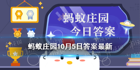 长时间盯着一个字会不认识   蚂蚁庄园10.5