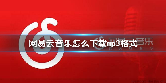 网易云音乐怎么下载mp3格式