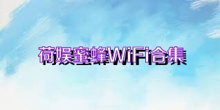 荷娱蜜蜂WiFi合集