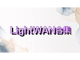 LightWAN合集