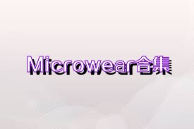 Microwear合集