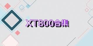 XT800合集