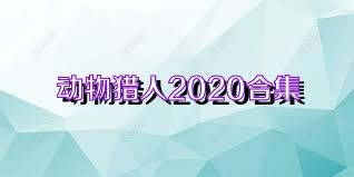 动物猎人2020合集