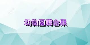 动物图腾合集