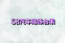 58汽车陪练合集