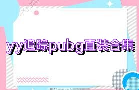 yy追踪pubg直装合集