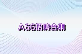 A66招聘合集