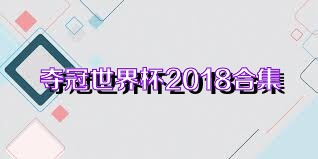 夺冠世界杯2018合集