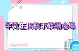 罕见生物的水族箱合集
