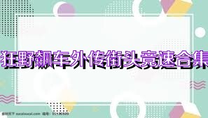 狂野飙车外传街头竞速合集