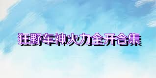 狂野车神火力全开合集