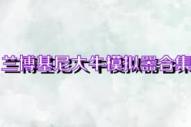兰博基尼大牛模拟器合集