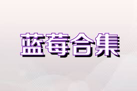 蓝莓合集