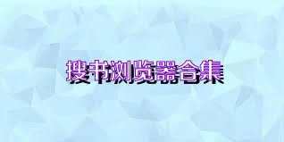 搜书浏览器合集