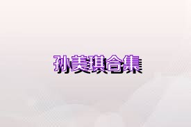 孙美琪合集