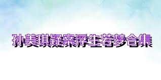 孙美琪疑案浮生若梦合集