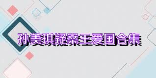 孙美琪疑案王爱国合集