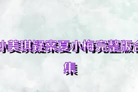 孙美琪疑案夏小梅完整版合集