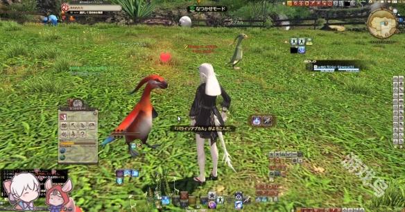 FF14无人岛稀有动物跑了什么时候刷新