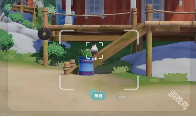 心动小镇观鸟攻略