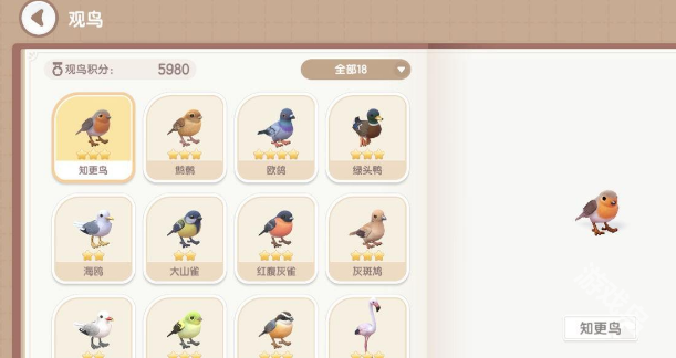心动小镇观鸟留意要点