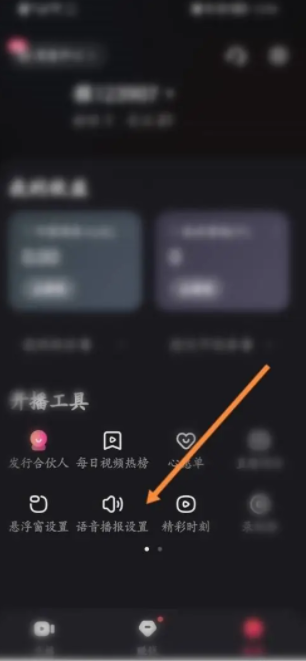 快手伴侣语音播报在哪打开