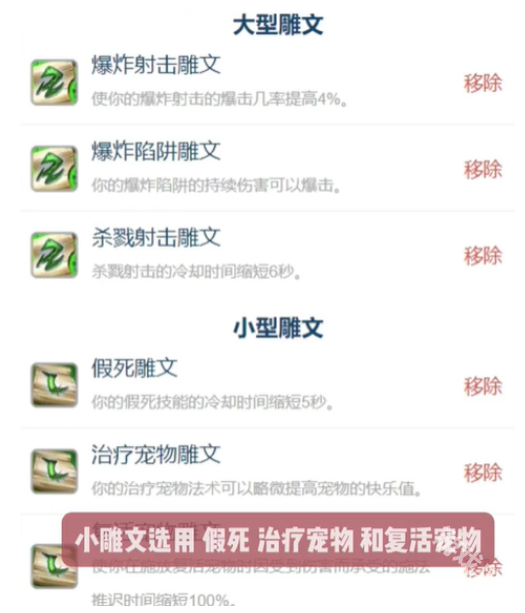 魔兽世界怀旧服猎人超级直升最佳配装是什么