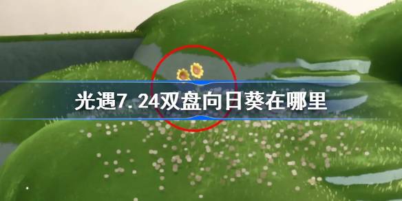 光遇7.24双盘向日葵位置一览