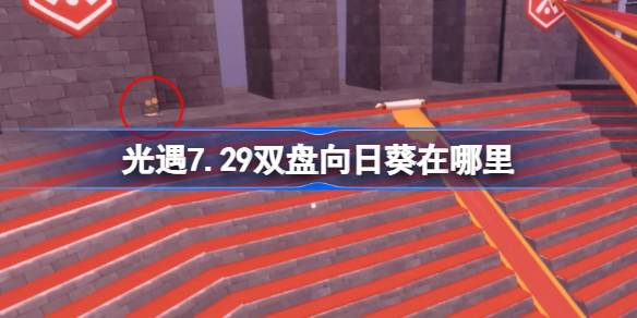 光遇7.29双盘向日葵位置一览
