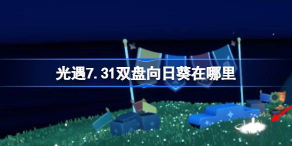 光遇7.31双盘向日葵位置一览
