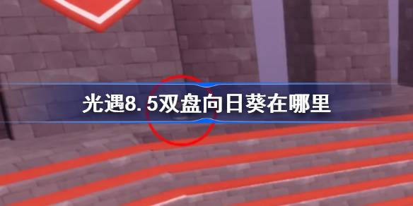光遇8.5双盘向日葵位置一览