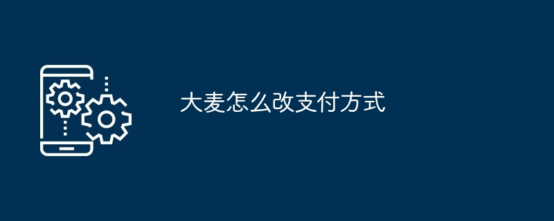 大麦怎么改支付方式