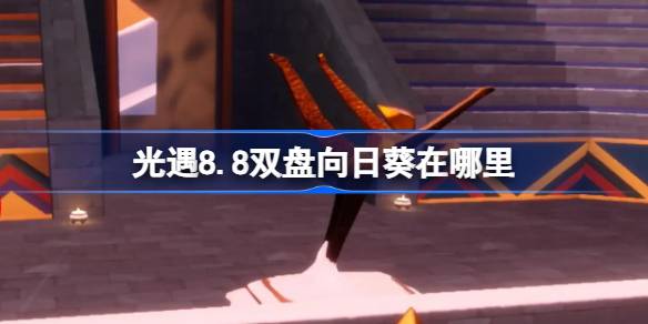 光遇8.8双盘向日葵位置一览