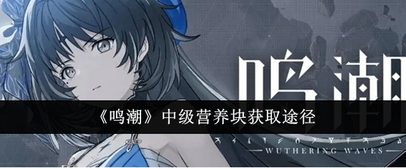 鸣潮中级营养块获取方法