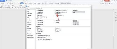 WPS Office官方版怎么设置屏幕提示 WPS Office官方版设置屏幕提示的方法