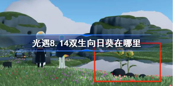 光遇8.14双生向日葵位置一览