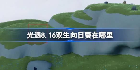 光遇8.16双生向日葵位置一览