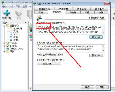 IDM下载器怎么支持自动下载文件类型 IDM下载器支持自动下载文件类型的方法