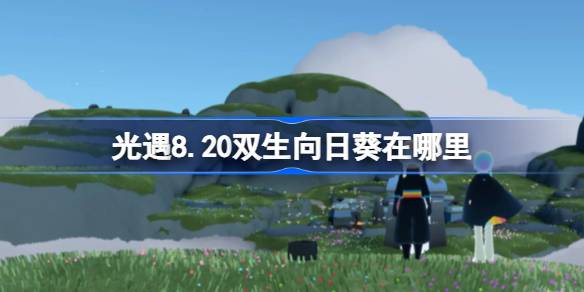光遇8.20双生向日葵位置一览