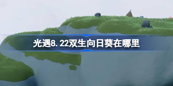 光遇8.22双生向日葵位置一览